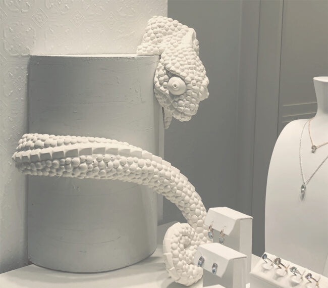 Escaparate Savage para Aristocrazy